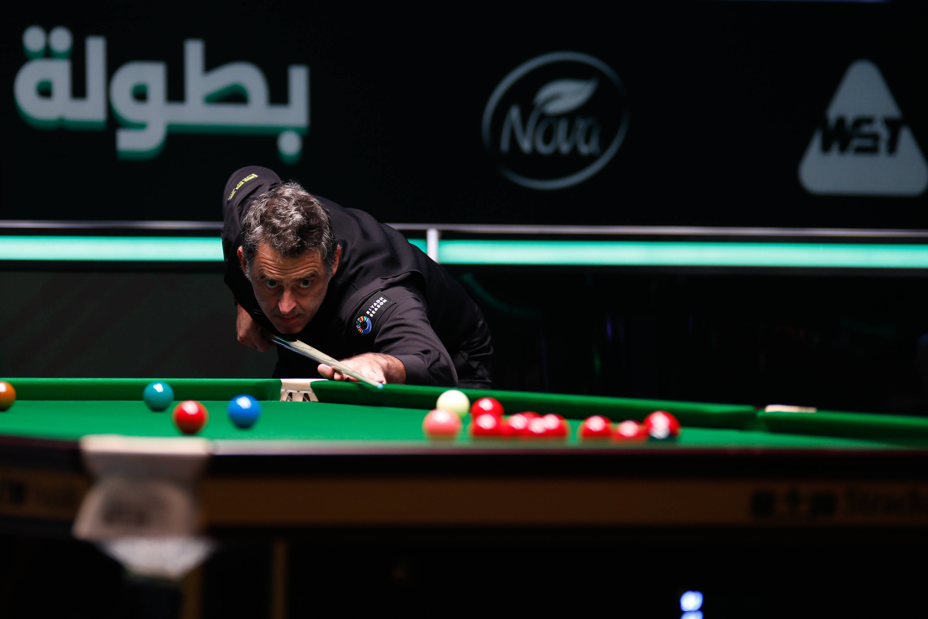 他们在多条 他们在多条