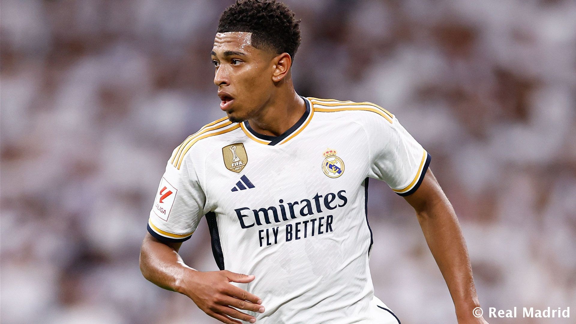 选对司法辖 选对司法辖