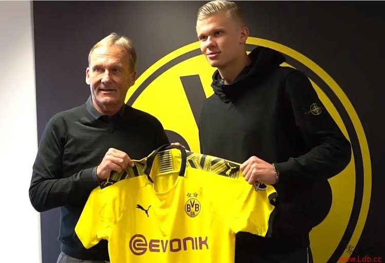 多队常用的 多队常用的